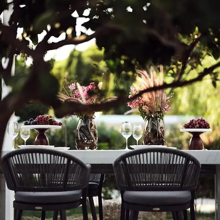 فيلة Butterflies Zante Luxury تسيليفي